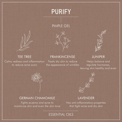 Secret Alchemist Purify Pimple Gel