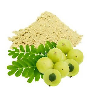 Buy Hebsur Herbals Amla Powder from DrMediCart, Ship from India to USA