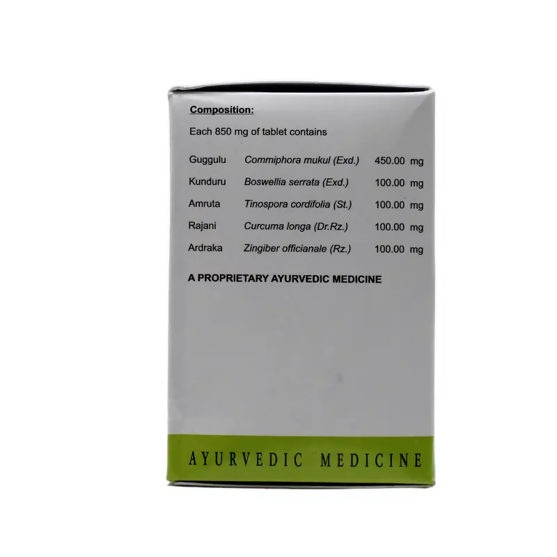 AVN Ayurveda Painflaven Tablets