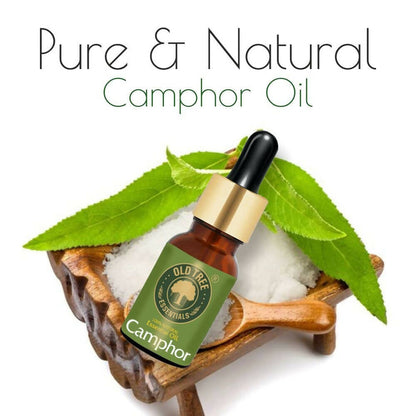 Old Tree Camphor Essential Oil