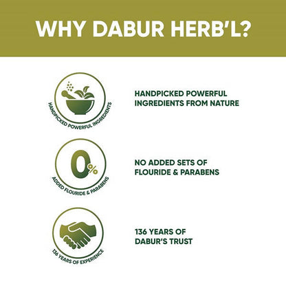 Dabur Herb'l Neem Germ Protection Complete Care Toothpaste