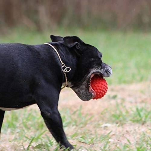 Goofy Tails Dog Ball Dog Toys Spiked Rubber Ball