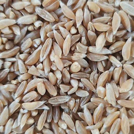 Hetha Khapli Whole Wheat Flour (Atta)