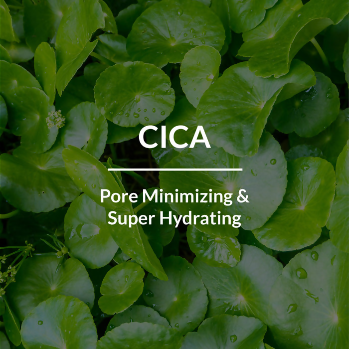 Lotus Botanicals Cica Pore Minimizing Face Gel