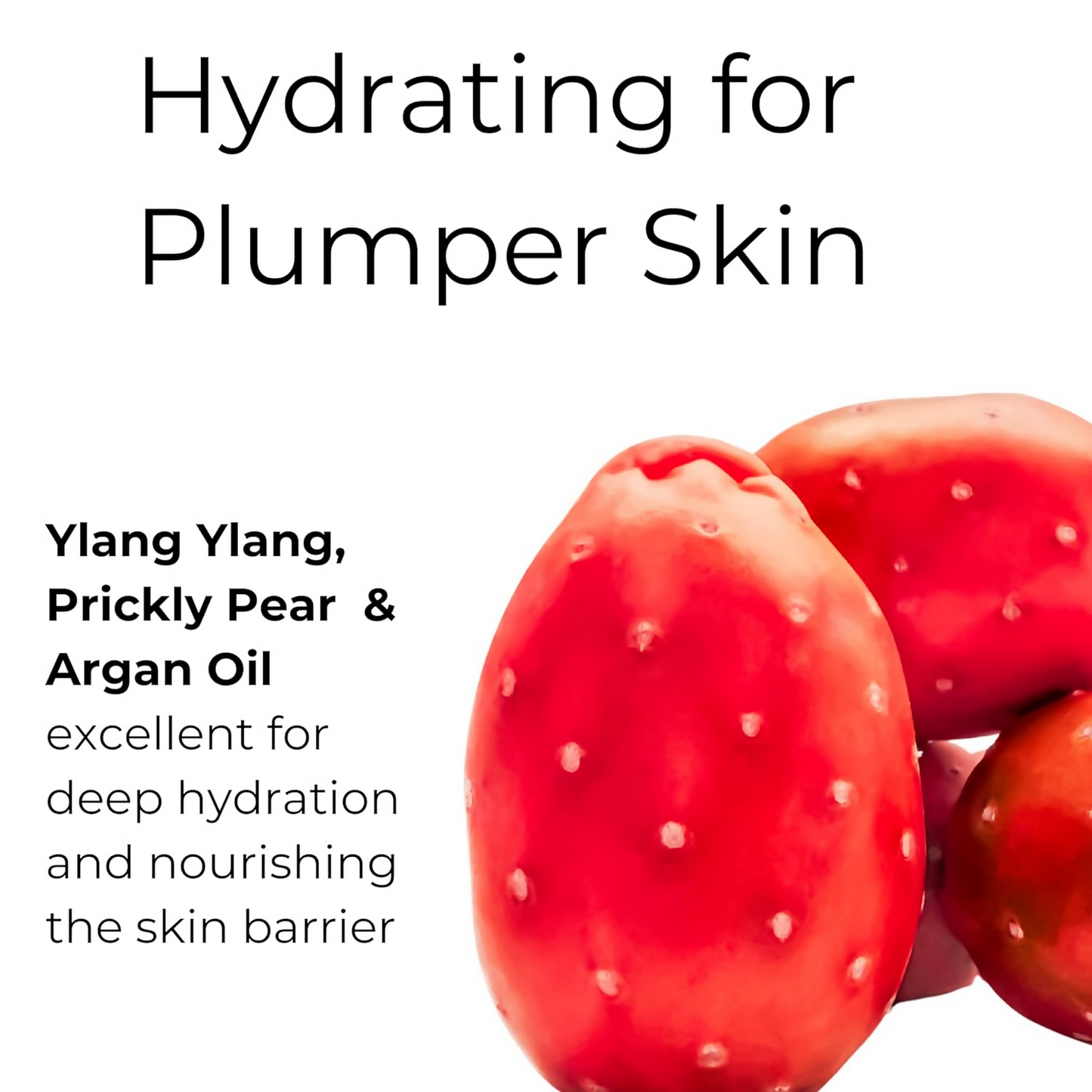 Noor Skincare Face Oil For Glowing Skin With Rosehip, Jojoba, Argan & Vitamin E