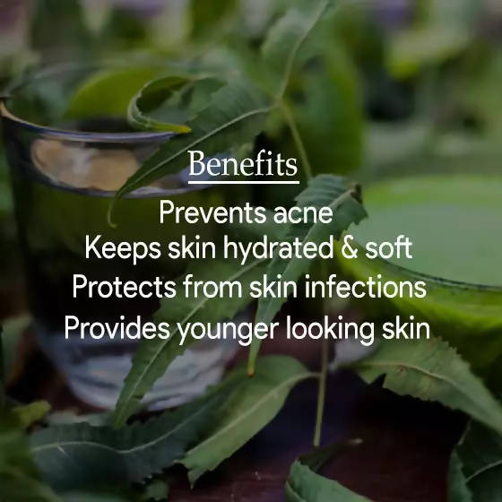 The Wellness Shop Neem & Aloe Vera Face Wash