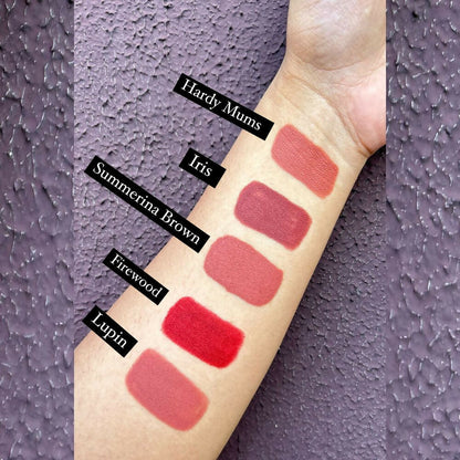 Love Earth Lip Crayon Non-Transfer Lipstick 1.O And Sharpener