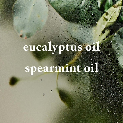 Bath & Body Works Eucalyptus + Spearmint Gentle & Clean Foaming Hand Soap