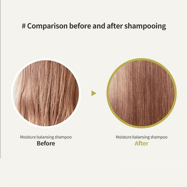 La'dor Moisture Balancing Shampoo