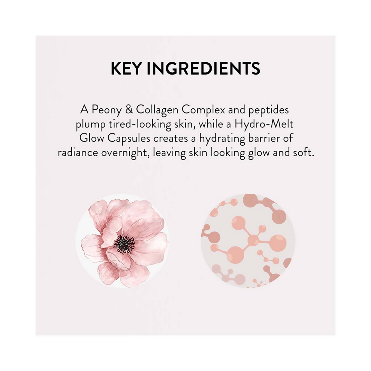 Laneige Bouncy And Firm Sleeping Mask