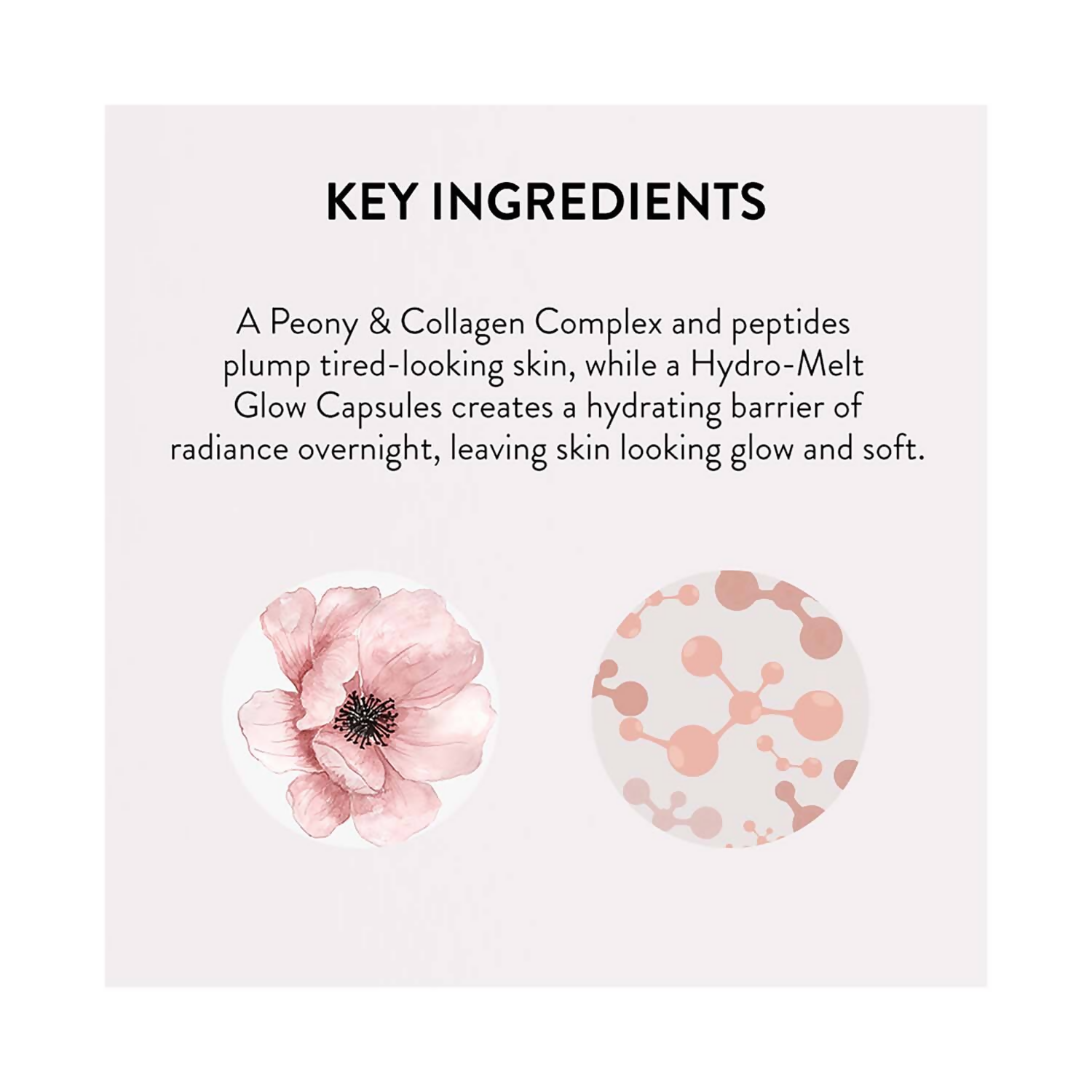 Laneige Bouncy And Firm Sleeping Mask