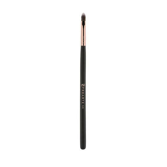 Buy Proarte Pro Lip Precision Brush AL-36 from DrMediCart, Ship from India to USA