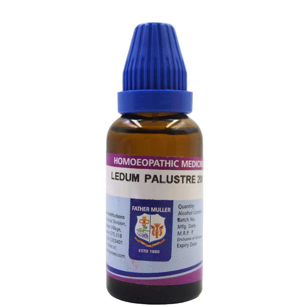 Father Muller Ledum Palustre Dilution