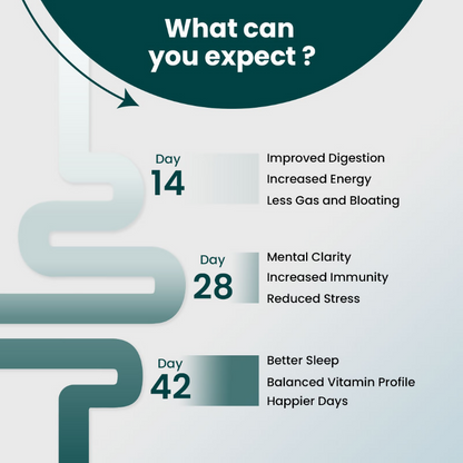 Supply6 360 Daily Health Supplement 63+ Nutrient, Multivitamin, 3B CFU Probiotic & Superfood