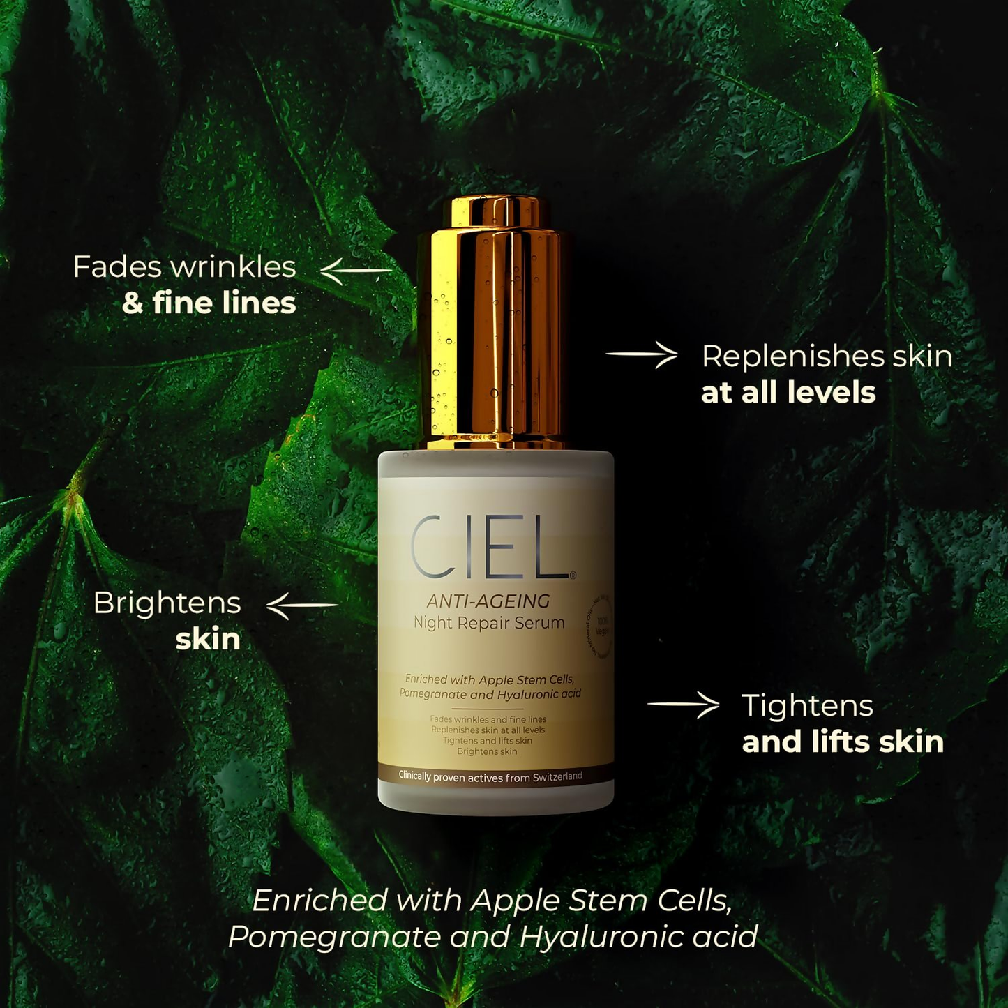Ciel Anti-Ageing Night Repair Serum For Smoother, Younger Skin