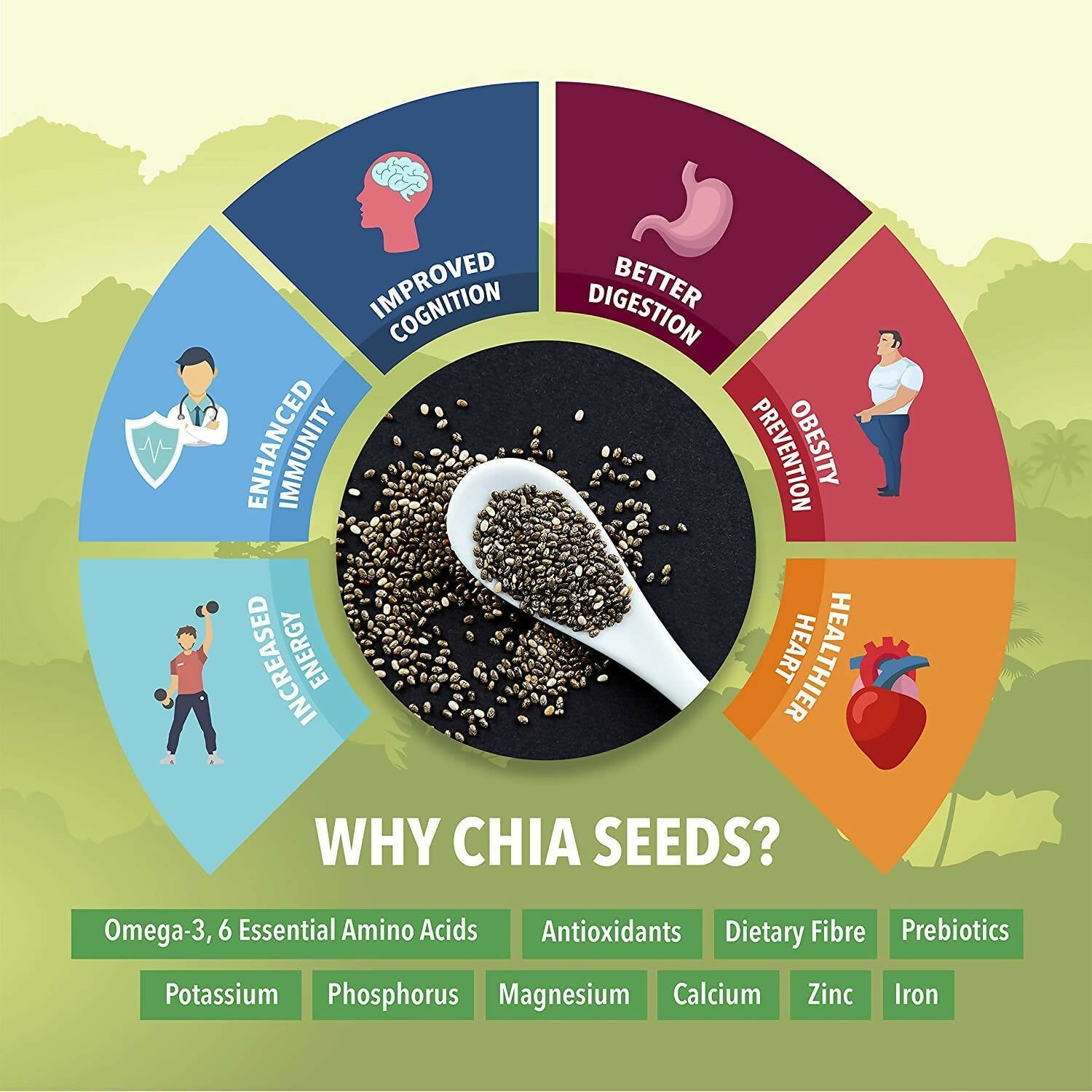 Fulsome Premium Raw Black Chia Seeds