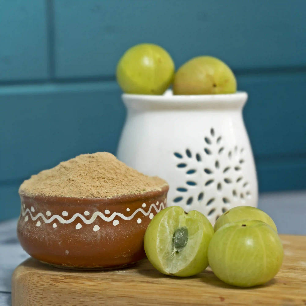 The Wellness Shop Organic Amla Powder - Drmedicart