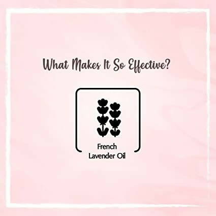 The Beauty Co. French Lavender Essential Oil