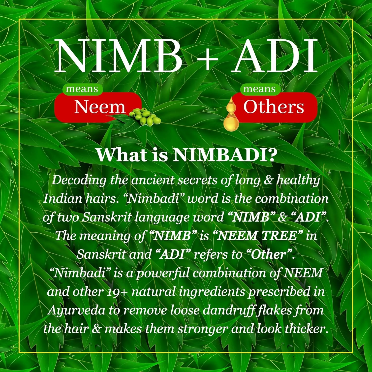 The Indie Earth Nimbadi Hair Oil For Healthy & Dandruff Free Hairs - DrMediCart