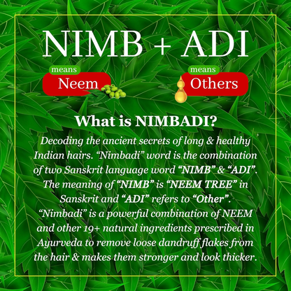 The Indie Earth Nimbadi Hair Oil For Healthy & Dandruff Free Hairs - DrMediCart